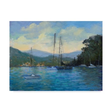 Mary Jean Weber 'Portofino Bay' Canvas Art,14x19